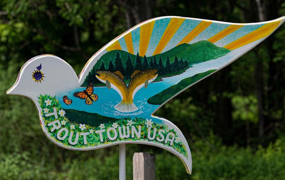 Mountain hiking trails connecting Phoenicia and cabin rentals in Livingston Manor, NY