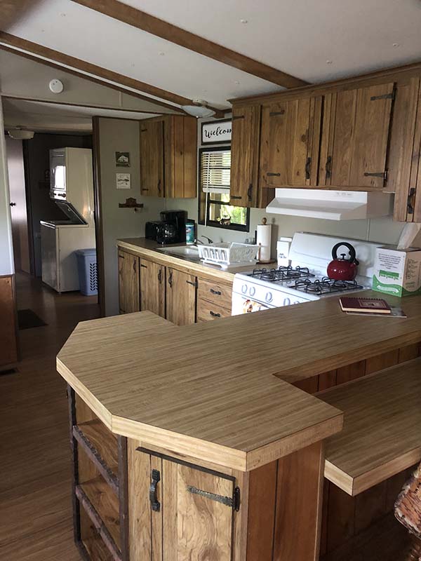 Family cabin getaway in Livingston Manor, NY along the Catskill creek